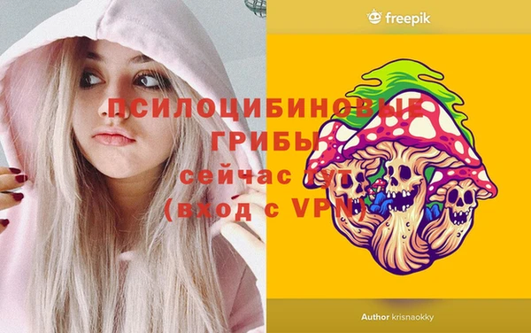 гашик Бронницы
